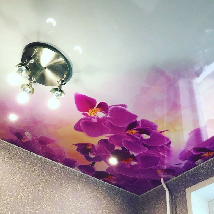 натяжные потолки с фотопечатью, потолок с фотопечатью, натяжные потолки с фотопечатью сиреневый, натяжной потолок, глянцевый натяжной потолок с фотопечатью