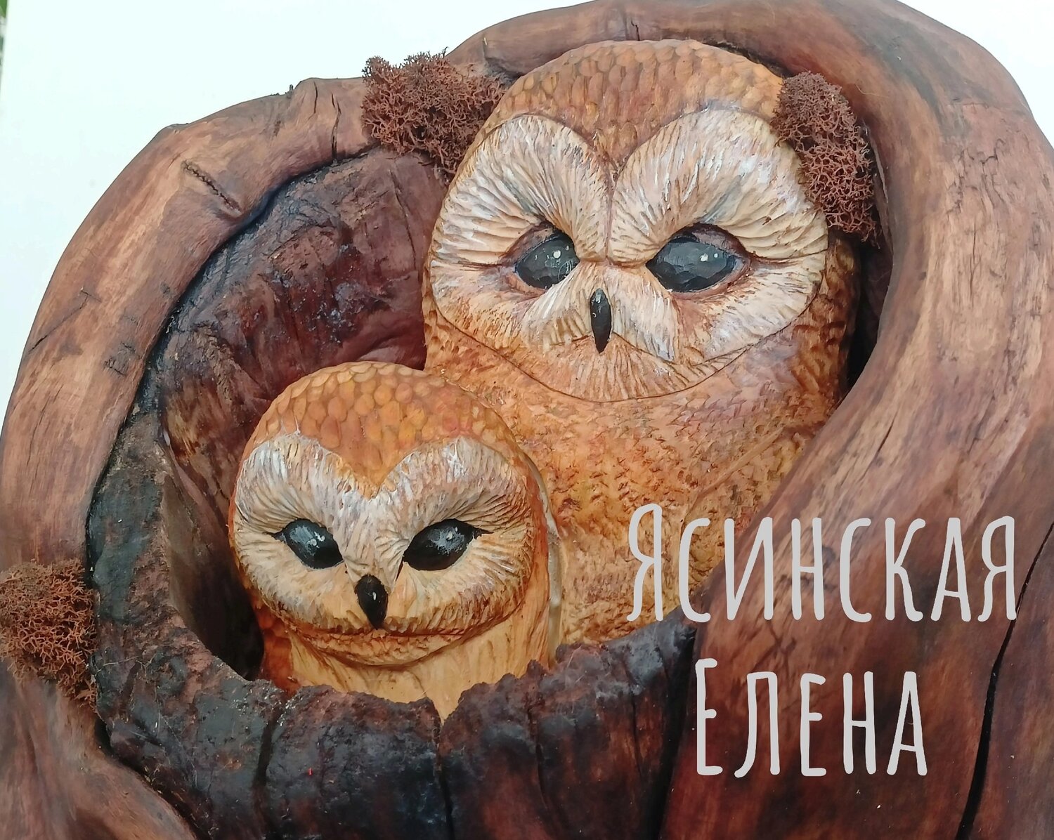 резьба по дереву сова в дупле, резьба по дереву сова, константин беляев резьба по дереву сова, сова из дерева, деревянная скульптура
