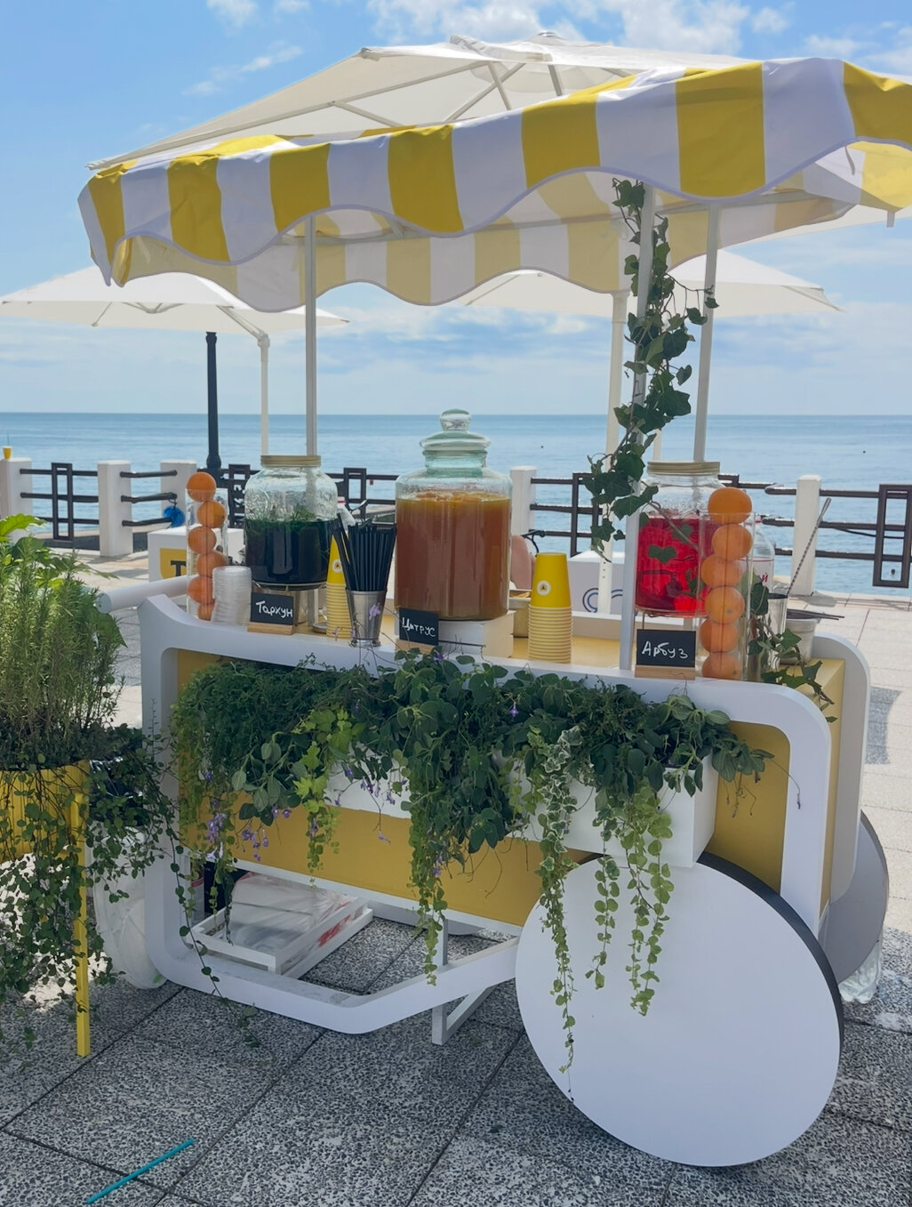 lemonade stand, �������������� �� ������������������, �������������� ��������, ���������������� ������������������, ������������ ��������