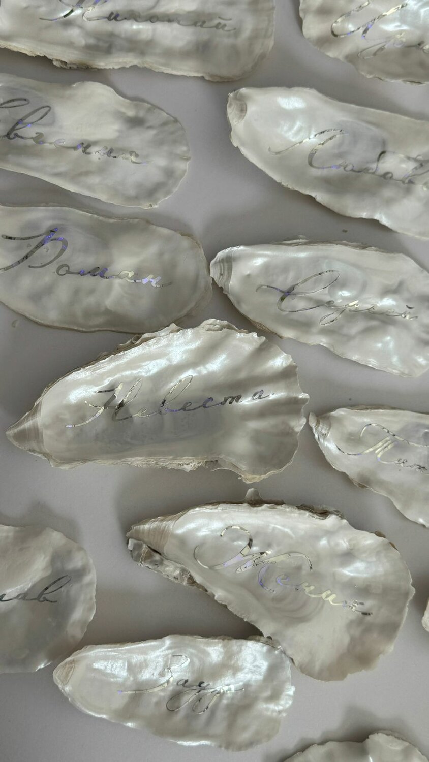 oyster shell, ���������� ������������������, ������������������, ���������������� ��������������, ������������������ ����������������
