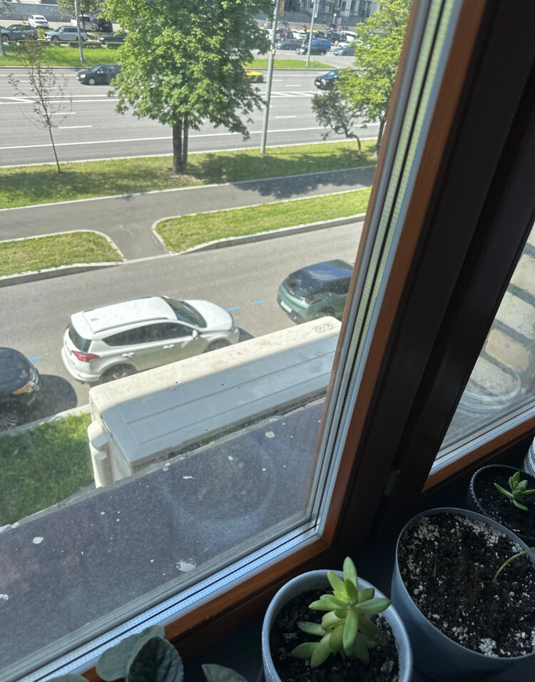 ������������ ���� ����������, ������������ ��������, ��������, ������������ ������������, ��������������