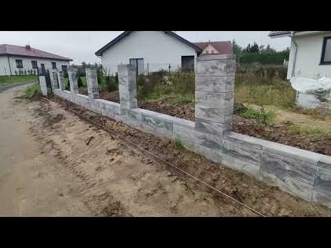 ���������� ���� ���������������� ������������, ���������������� ����������, ���������� ���� ��������������������, �������������� ������������������ ������ ������������, ���������� ��������������������