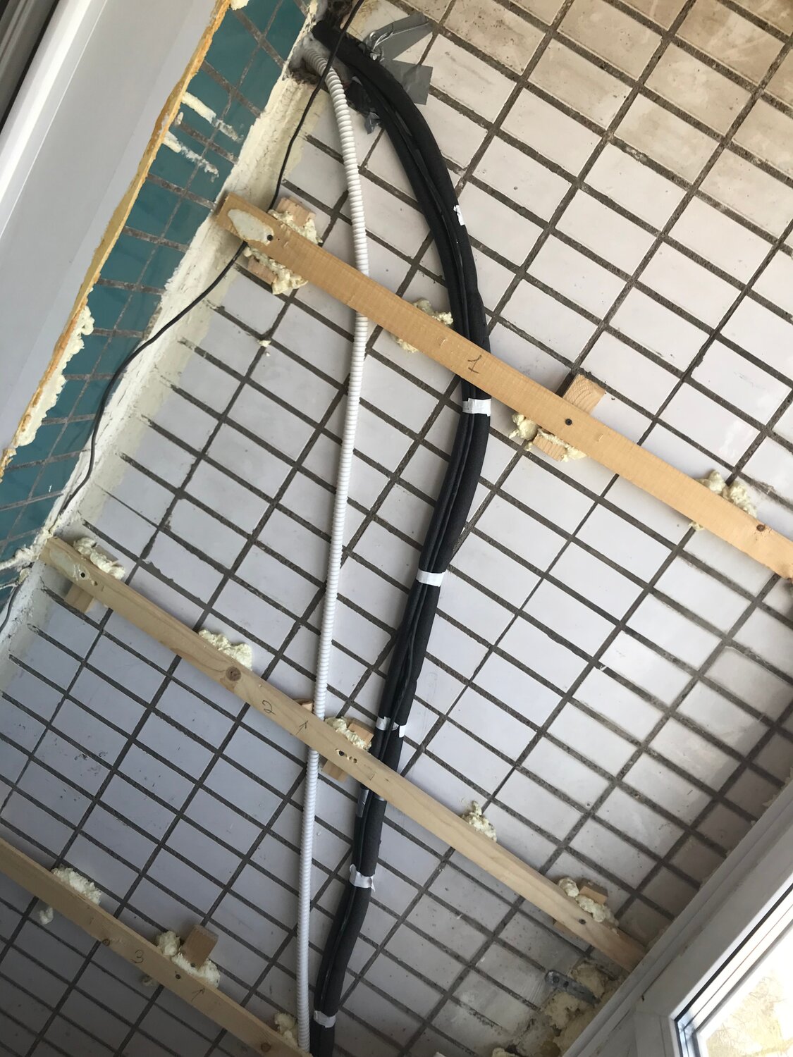 ������������ ������������ ������������������������, ������������ ������������������������ ������������������������������������ ������������, ������������ ������������, ������������ ������������������������������, ������������ ������������������������