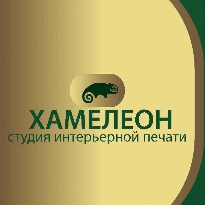 ООО Студия Хамелеон
