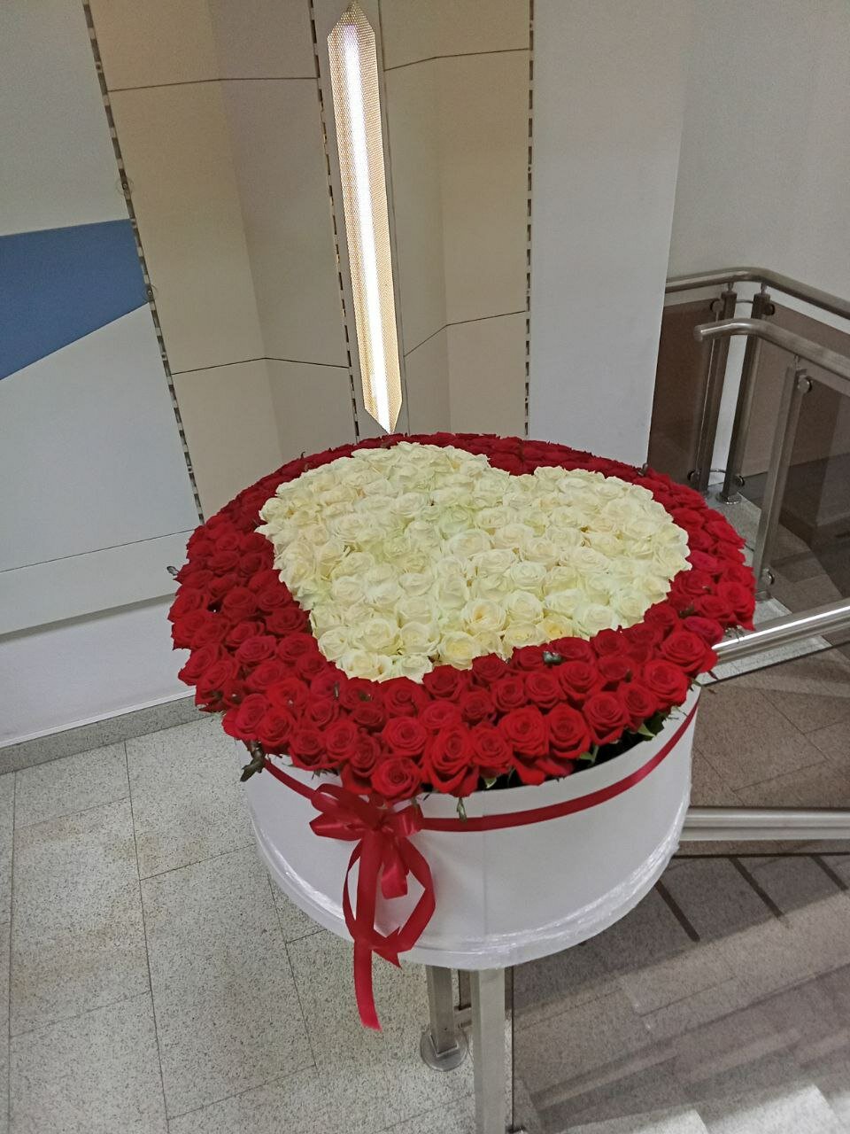101 �������� �� ��������������, 101 �������� �� �������������� �� �������� ������������, ������������ ���� 101 �������������� �� ���������� �������� �� ��������������, ���������� ���� ������ "������������", �������������� ���� 101 �������� �� �������� ������������ "from heart"