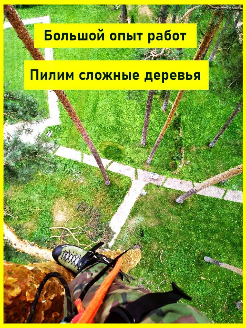 �������������� ������������, ���������� ������������, �������� ������������, ������������������ �������������� ���� ����������������, ���������������� ����������������