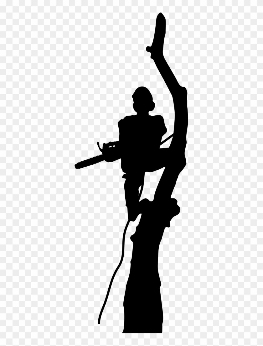 ���������������� ������������, ����������������, tree climber, ���������������������� �������� ����������������, ������������