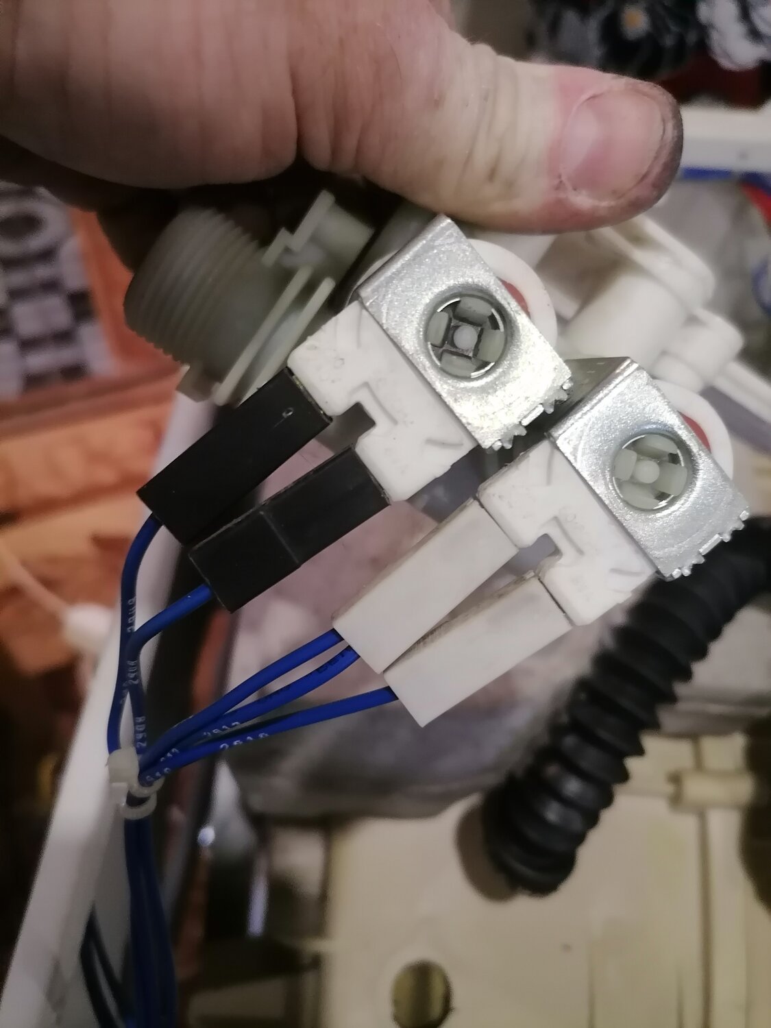 ������������ �������������������� ������������, ������������ ������������ �������� ������ �������������������� ������������, ������������ ������ �������������������� ������������ ������ ��������, ������������ ������������ �������� �������������������� ������������ candy, �������������������� ��������������