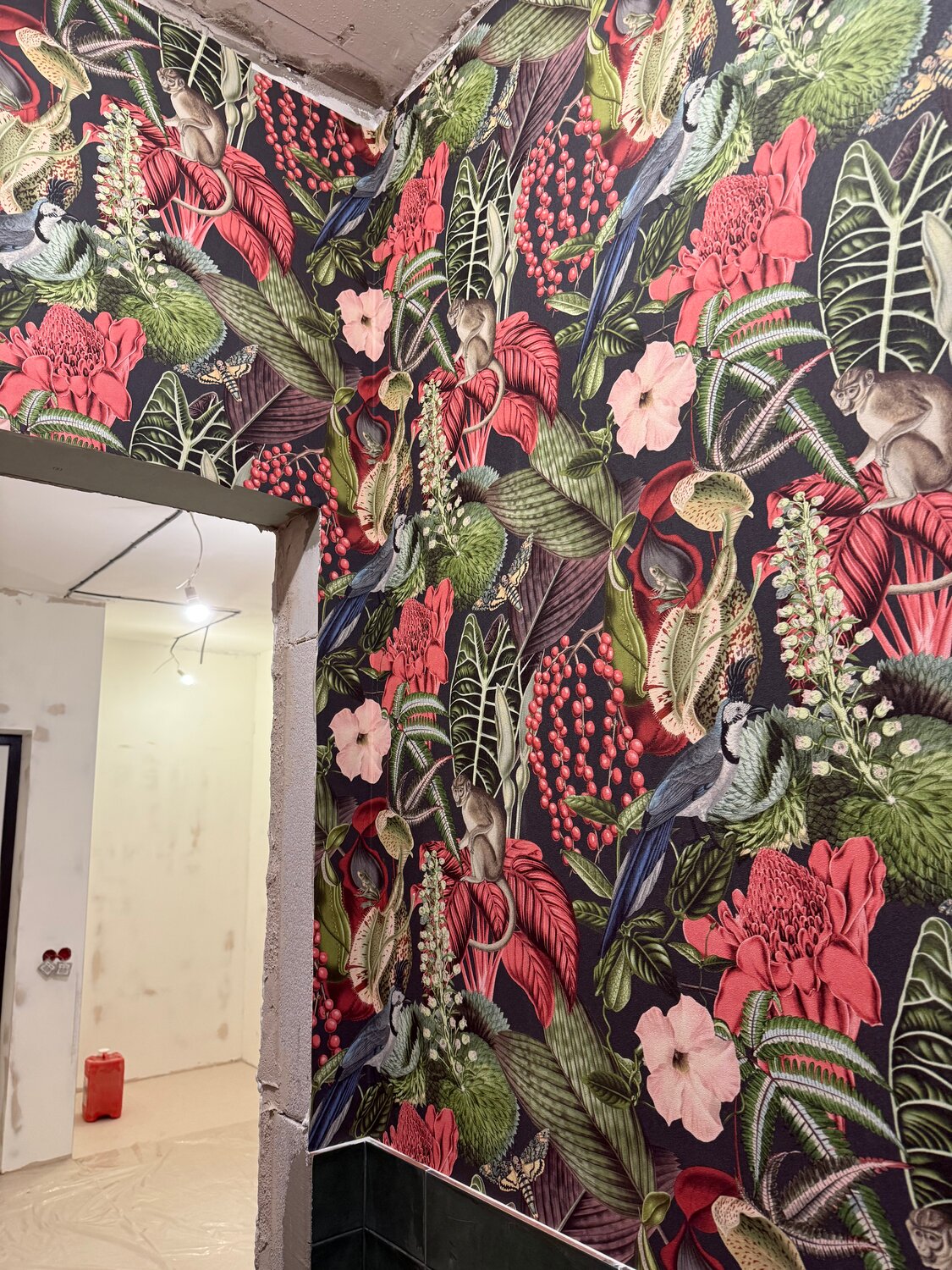 grandeco jungle fever, ���������������������� ����������������, papier peint, ������������������������ �������������� ��������, �������������� ��������