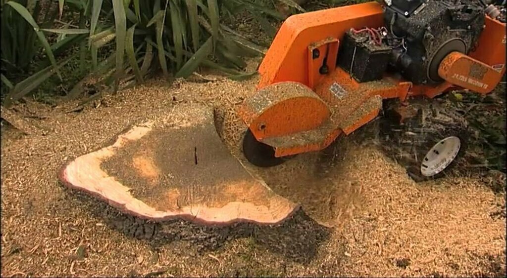 ������������������ ��������, �������������������� ��������, stump grinding, ���������������������� �������� ������������, ���������������� ��������