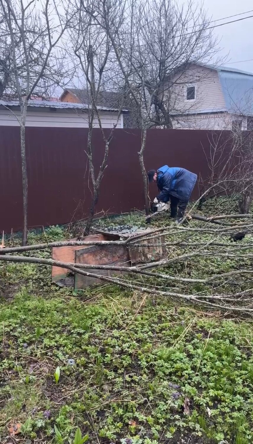 ������������������ �������������� ���� ����������������, ������������������ ��������������, ������������ ��������������, ������������ ��������������, �������������������� ��������������