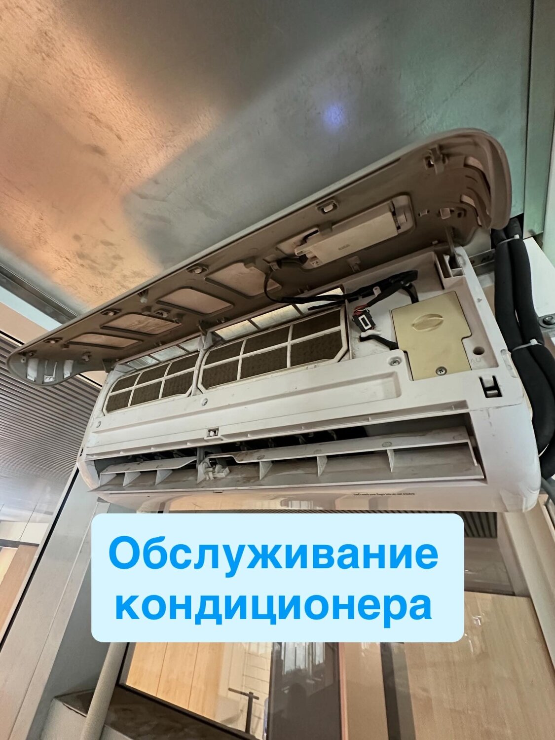 ������������������������ ��������������������������, ���������������������� ������������, ������������������ ����������������������, ���������������������� ������������������������ ������������������������, ������������ ��������������������������