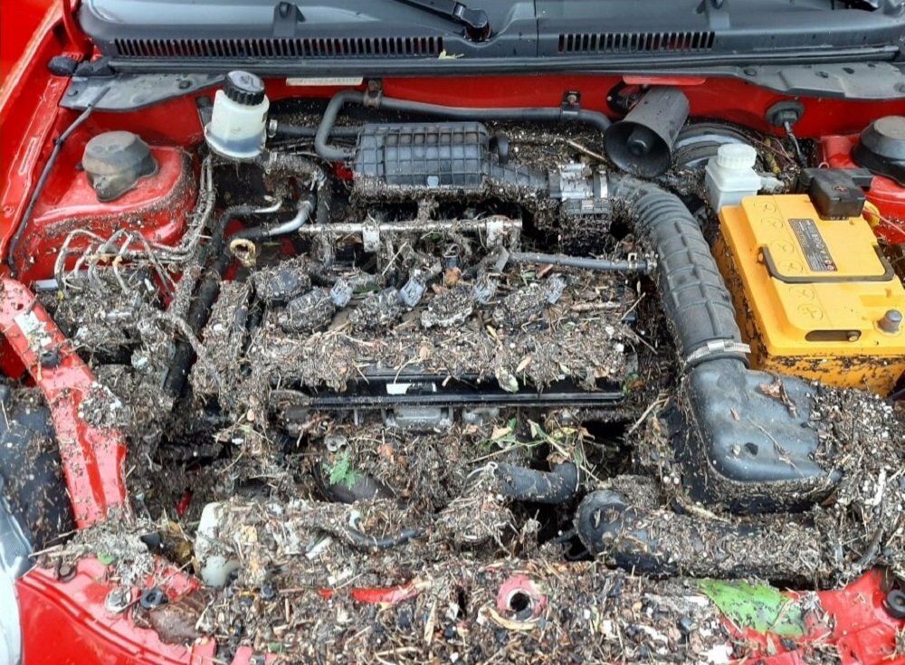 chevrolet aveo i, ������������������ ��������, chevrolet aveo i ��������������������, ������������������ ������������, ������������������ ��������������������
