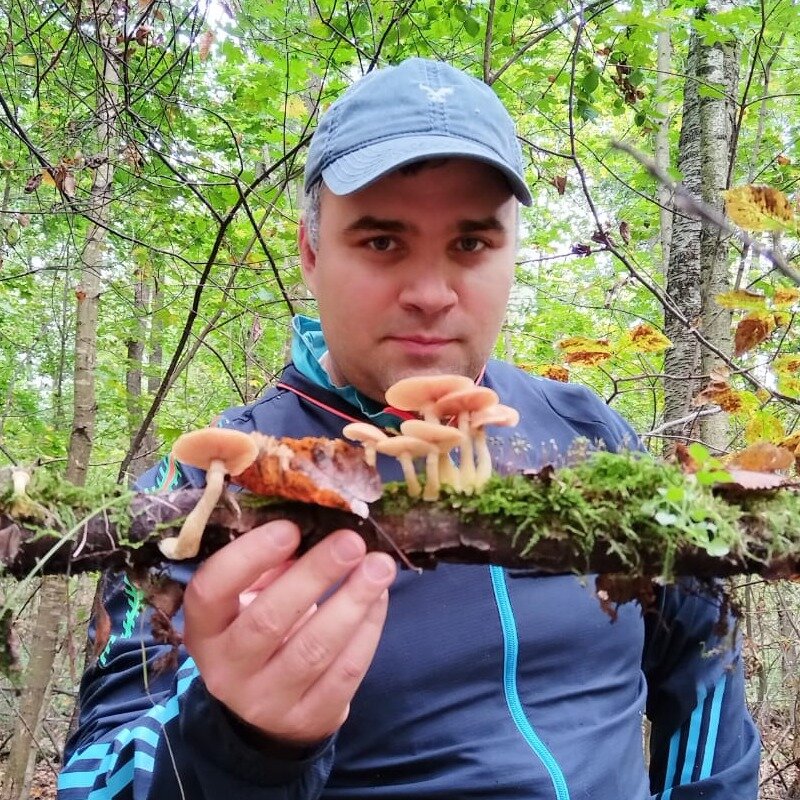 Никита Дубровин