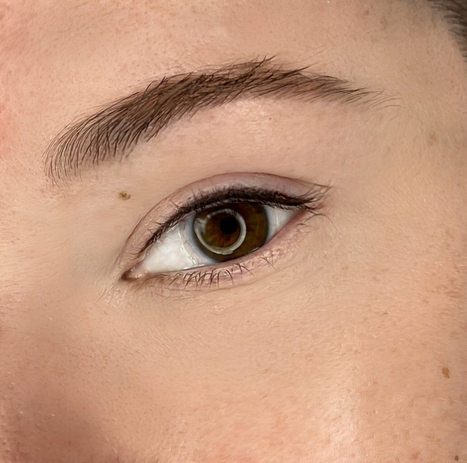 ������������ ��������, ����������, ������������, maybelline new york ���������������� ������ ������������ brow, ������������