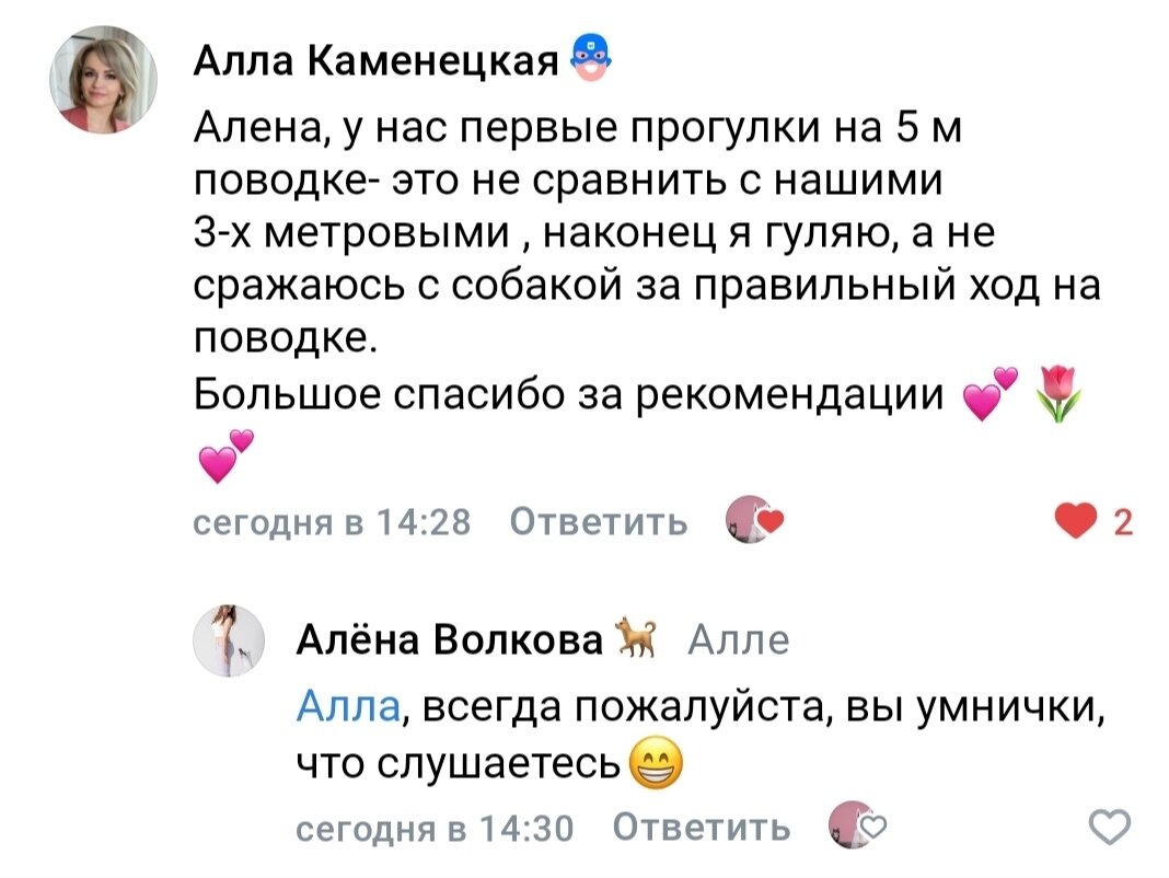 �������������� ������������, ������������ ��������������, ������������������ ������������, ������������������������, ��������������