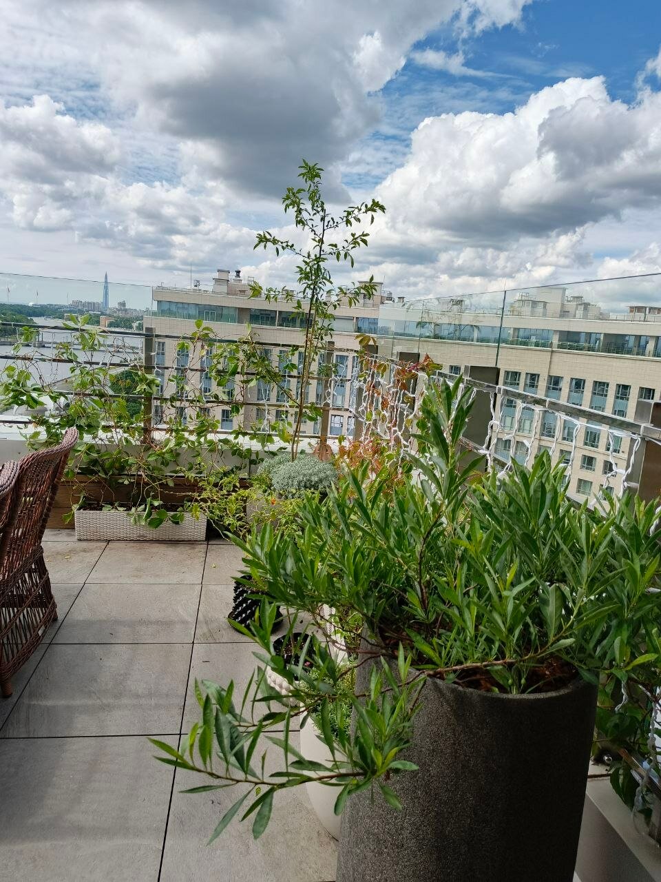 ������ ���� ����������, �������� ������������ ������ ���� ����������, balcony garden, �������� ������������ ������������, �������� ������������