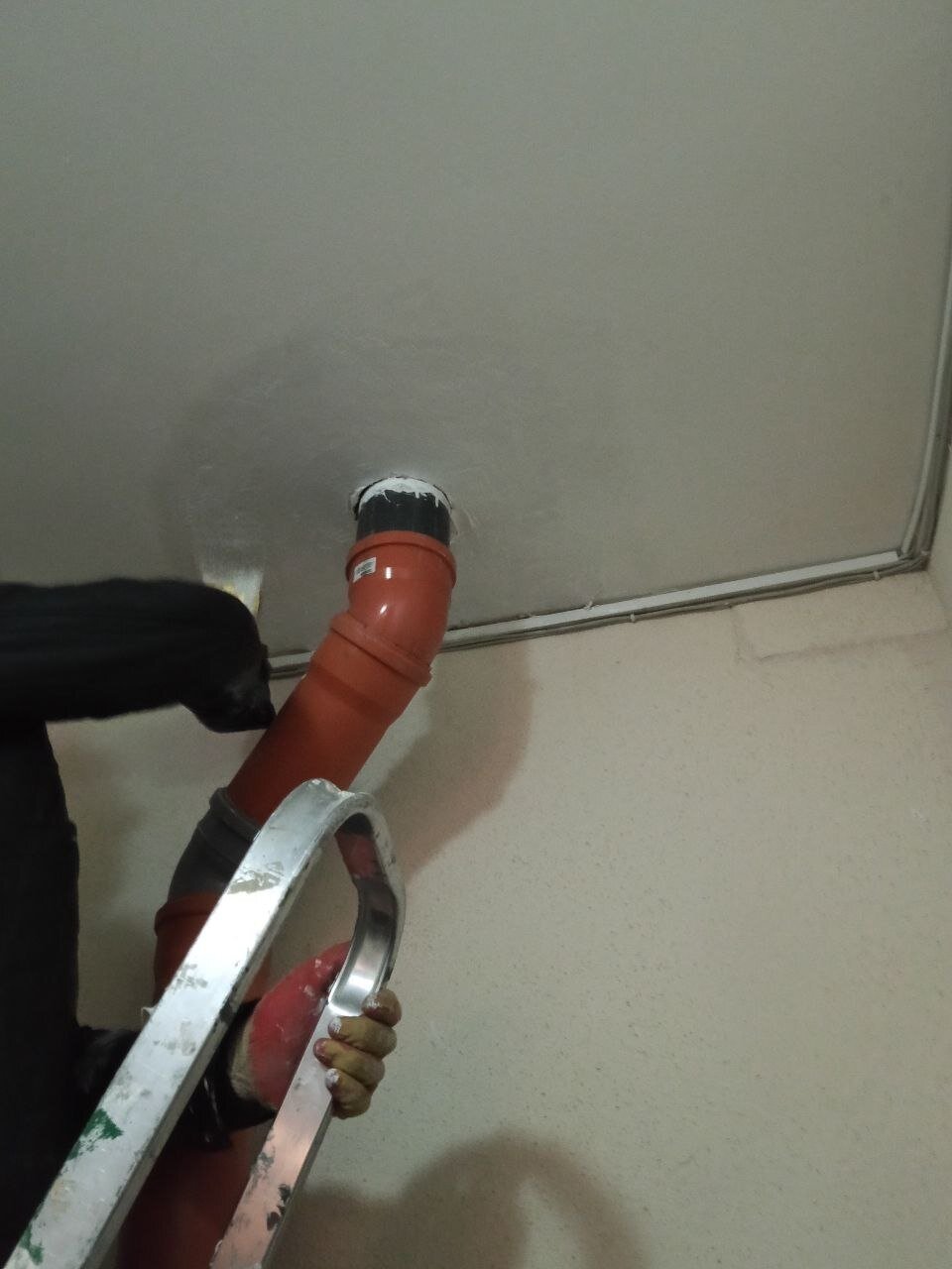 ������������������������������ ����������, ������������������ ������������������������������ ��������, ������������ ������������������������������ ��������, sml ���������� ���������������� ��������������������������, ���������� ����������������������