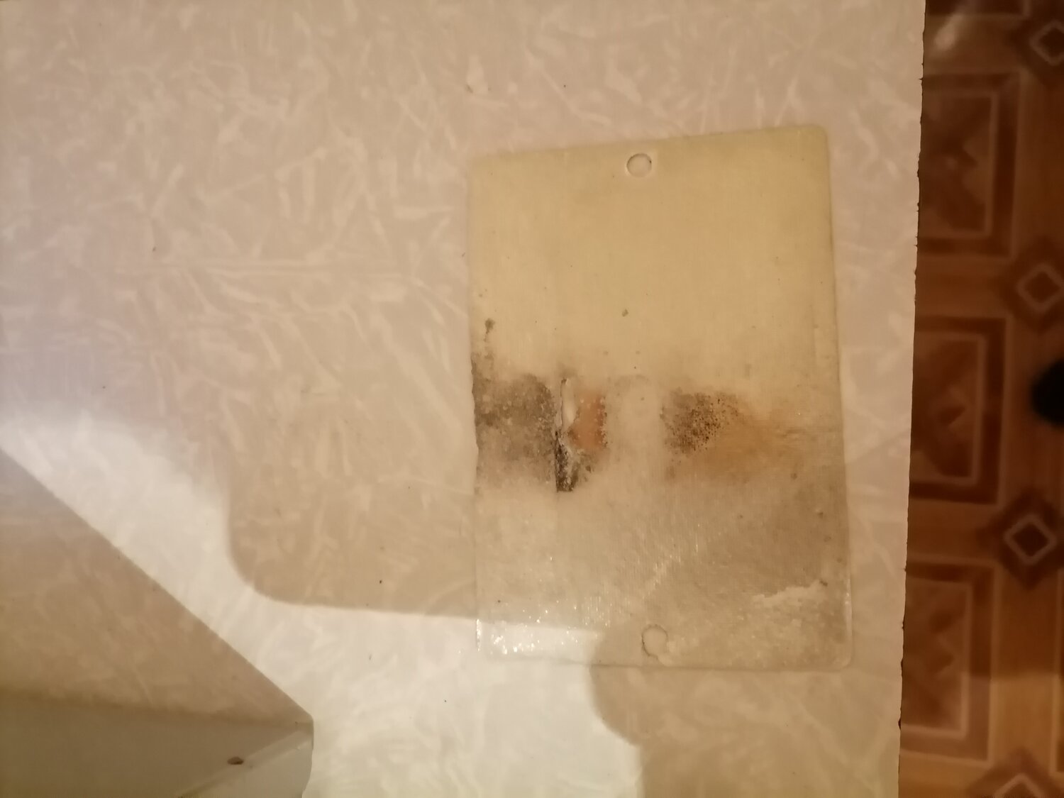 ���������� ���� �������������������� ���� ����������������, ���������������� ���������������� ������ ��������������������������, ���������������� ����������������, ���������� �������������������� ������������ ����������, ������������ ���������� ���� ��������������������