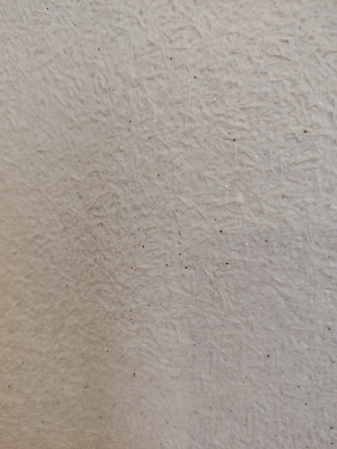 ������������ ������������ ����������������, paper background texture, ������ ���������������� ������������, ������������ ���������������� ����������, texture paper