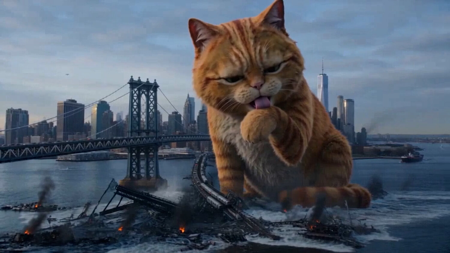 ������, ����������, giant cat, �������������������� ��������, cat