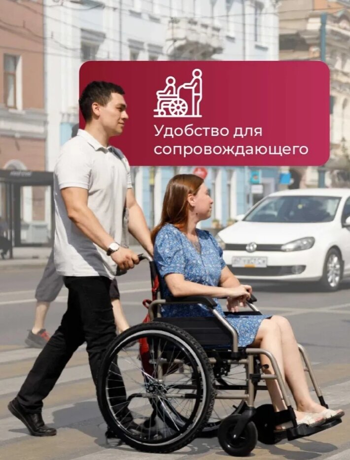 �������������������� ��������������, �������������������� �������������� ortonica, ������������ �������������� ��������������������, �������������������� �������������� ������ ������������������-������������������������, �������������������� ������������
