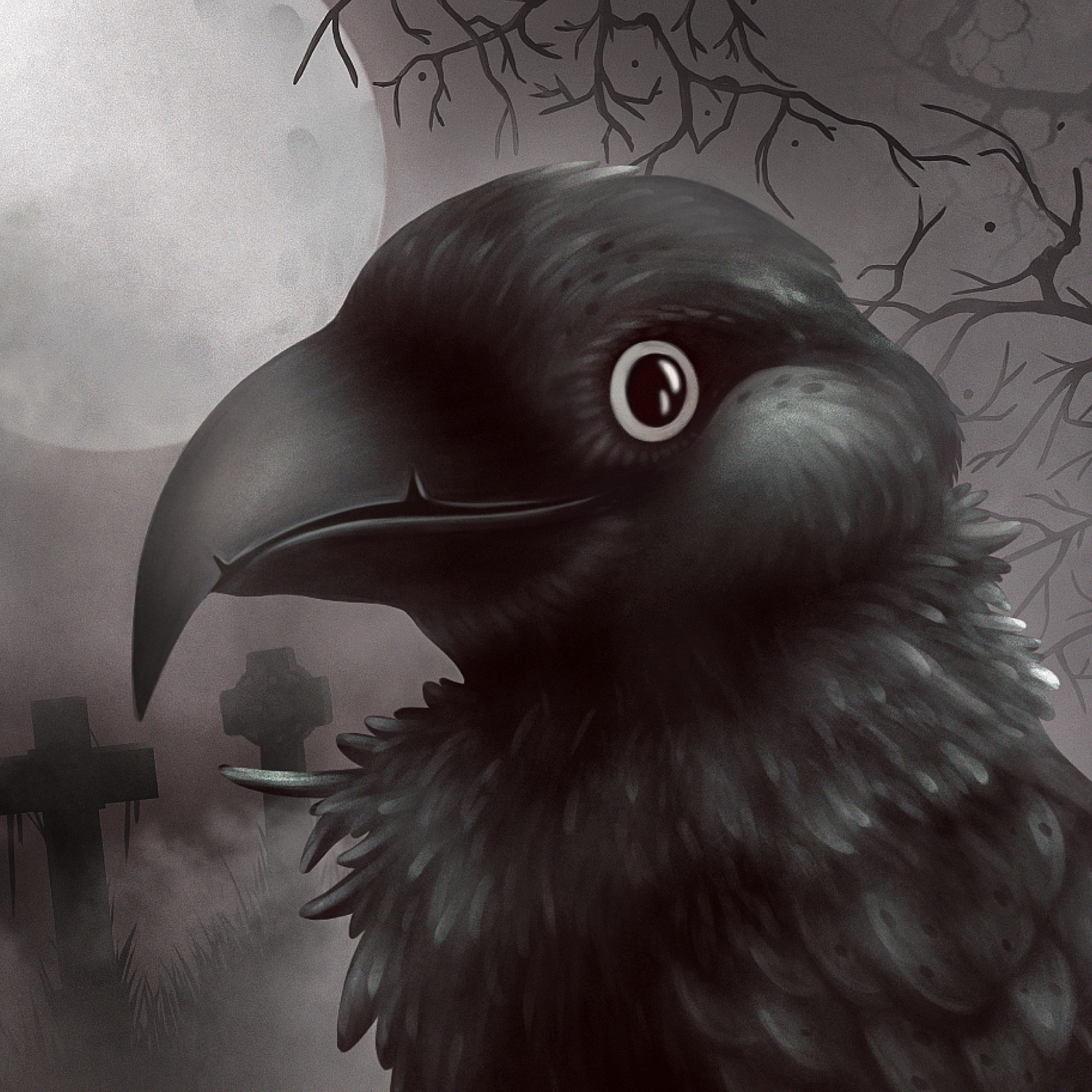 злой ворон, глаз ворона, ворон, crow, птица