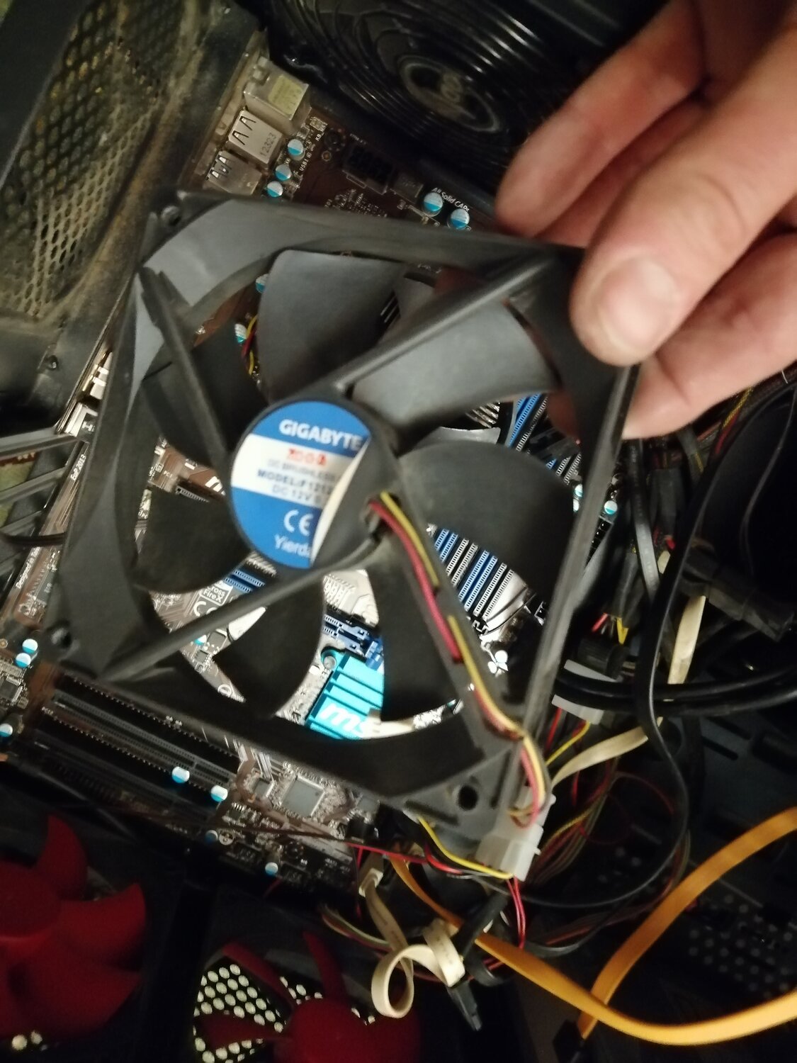 gigabyte gtx 650 ti 1gb, боксовый кулер от интел, кулер 775 сокет box, gigabyte 650 ti 2gb, боксовый кулер intel 1151 v2