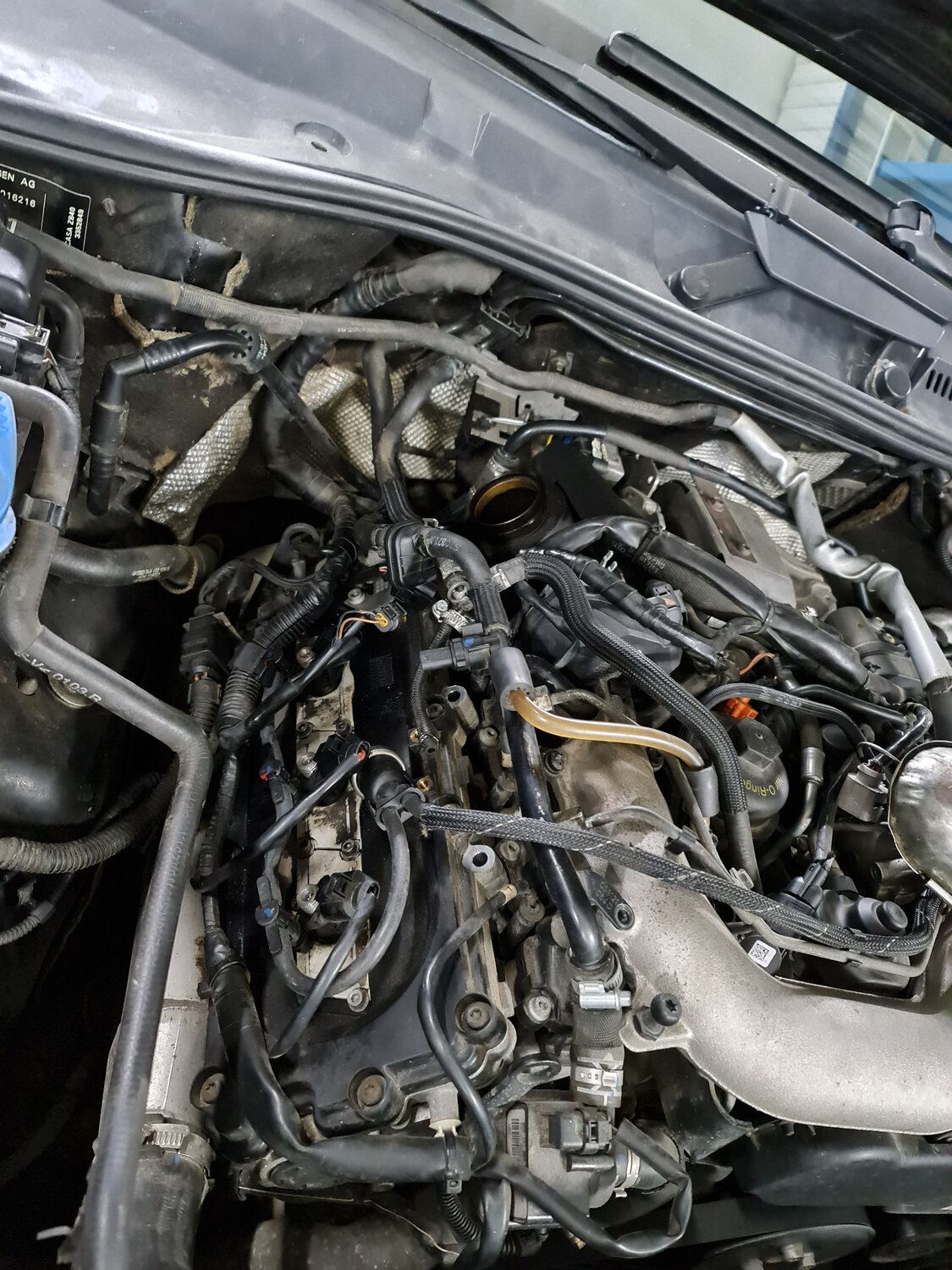 touareg 3.0 tdi двигатель, туарег 3.0 tdi, q7 3.0 tdi егр, термостат q7 3.0 tdi 2010, егр на туареге 3.0