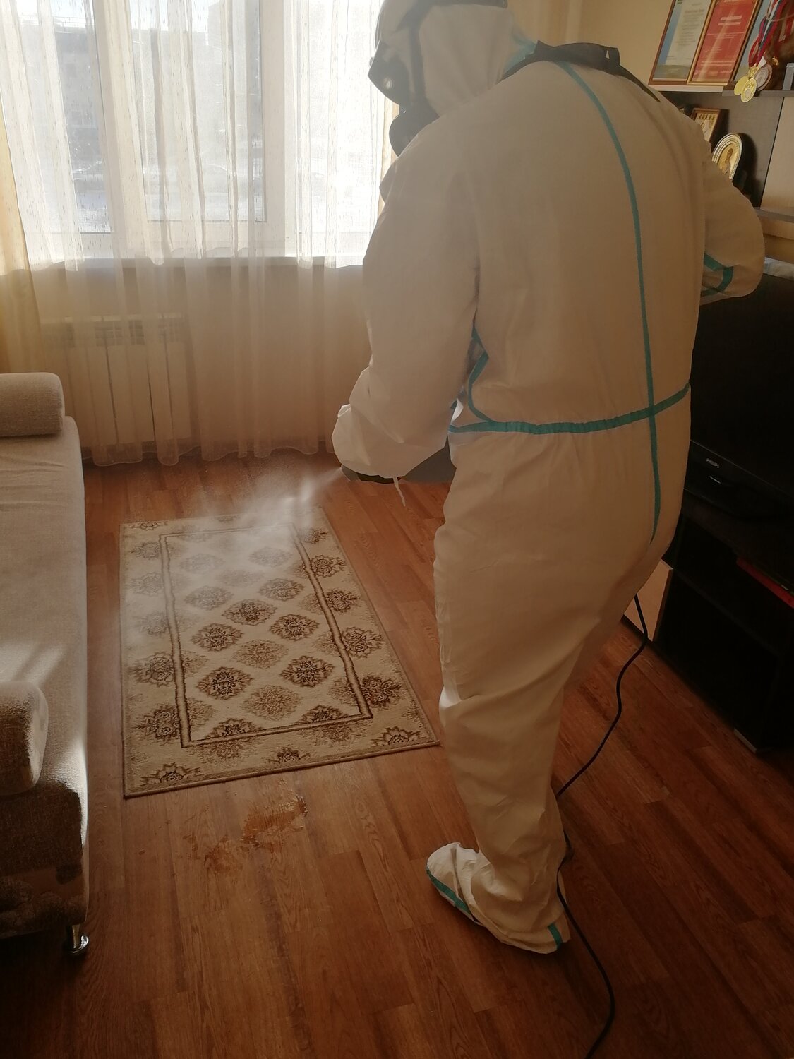 уничтожение насекомых, дезинсекция, холодный туман от клопов, уничтожение тараканов, уничтожение клопов