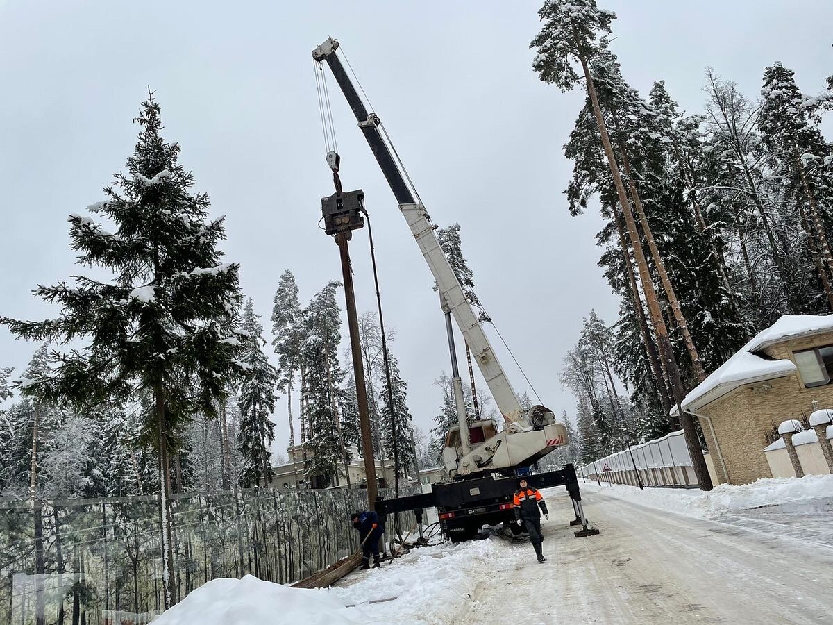 новогодняя ель, новогодняя елка, ель, великий устюг елка, крепление крупномеров