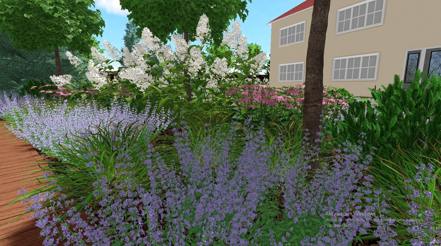 котовник, котовник фассена, котовник 3д модель, котовник фассена сикс хиллс, котовник фассена walker's low