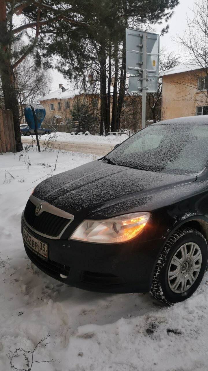 škoda octavia, skoda octavia 2011, skoda octavia 2012, серая шкода октавия, черная шкода октавия