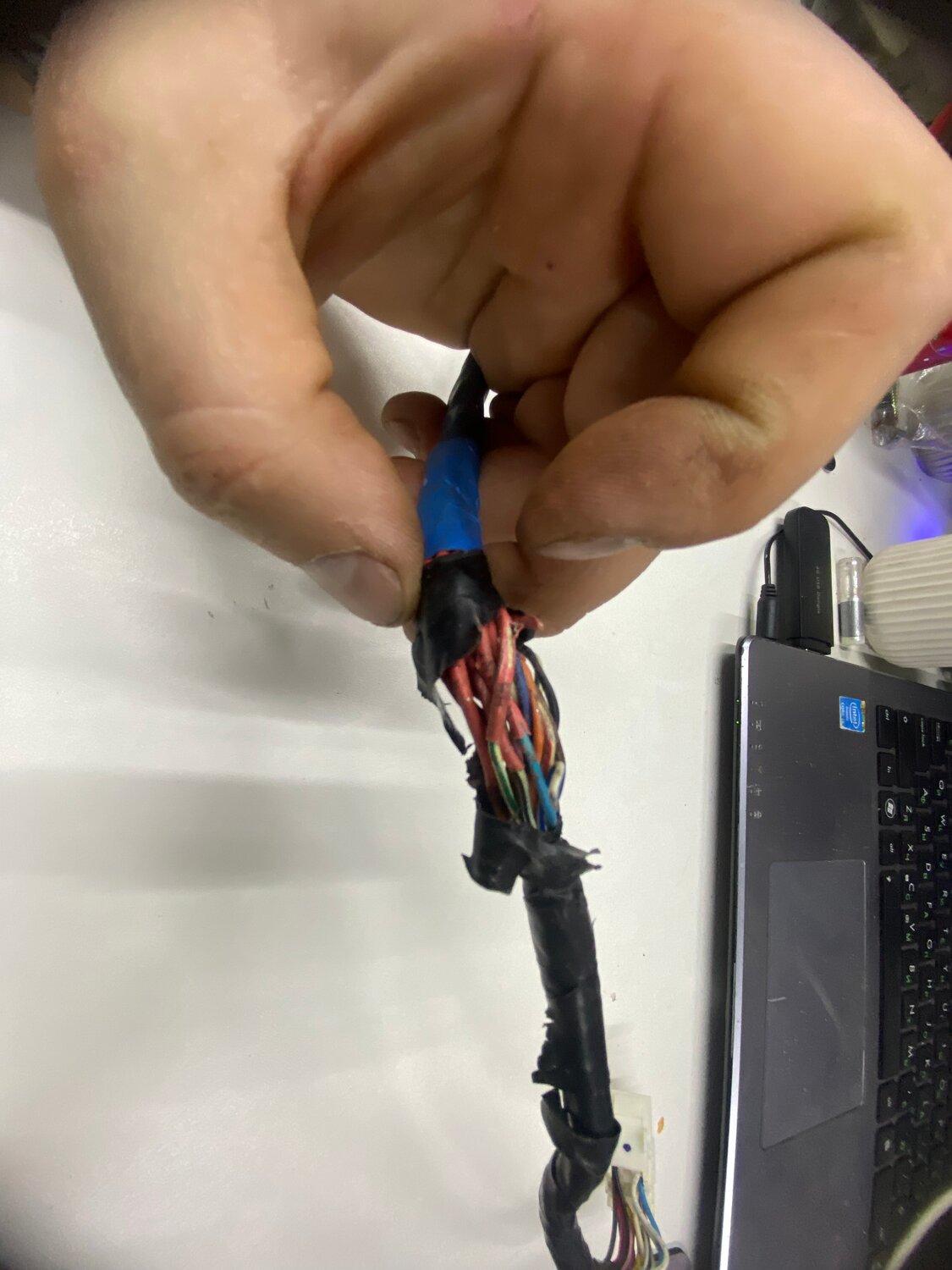 ����������������, �������������� ��, ������������������������������, ������������ ����������������, ������������