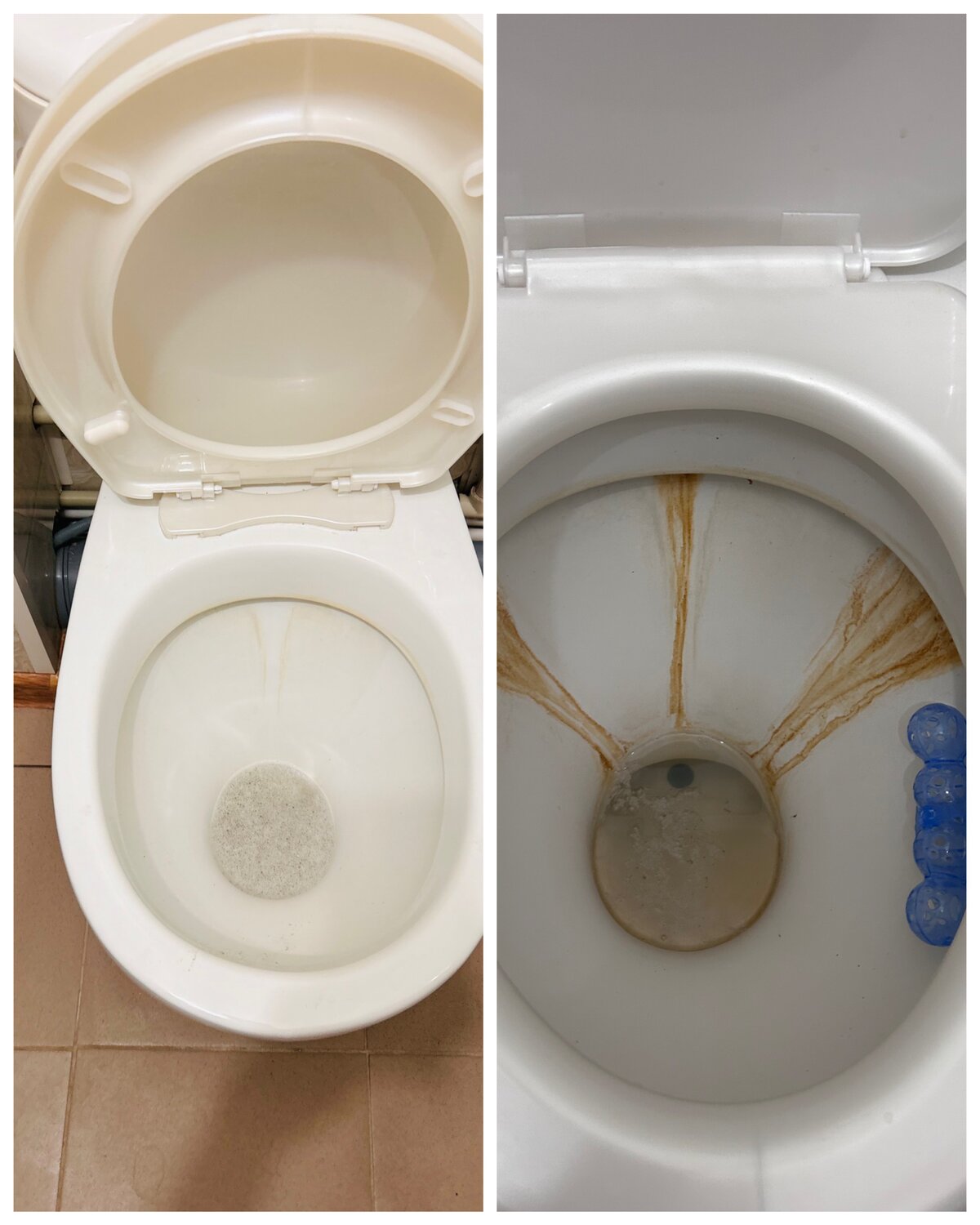 clean toilet, ������������, ���������������� �� ��������������, ������������ ������������, ������������ ��������������