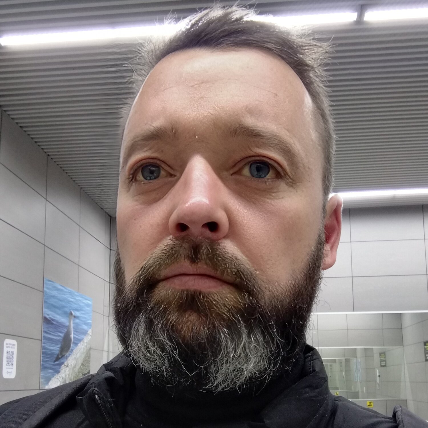 Владимир Шевченко