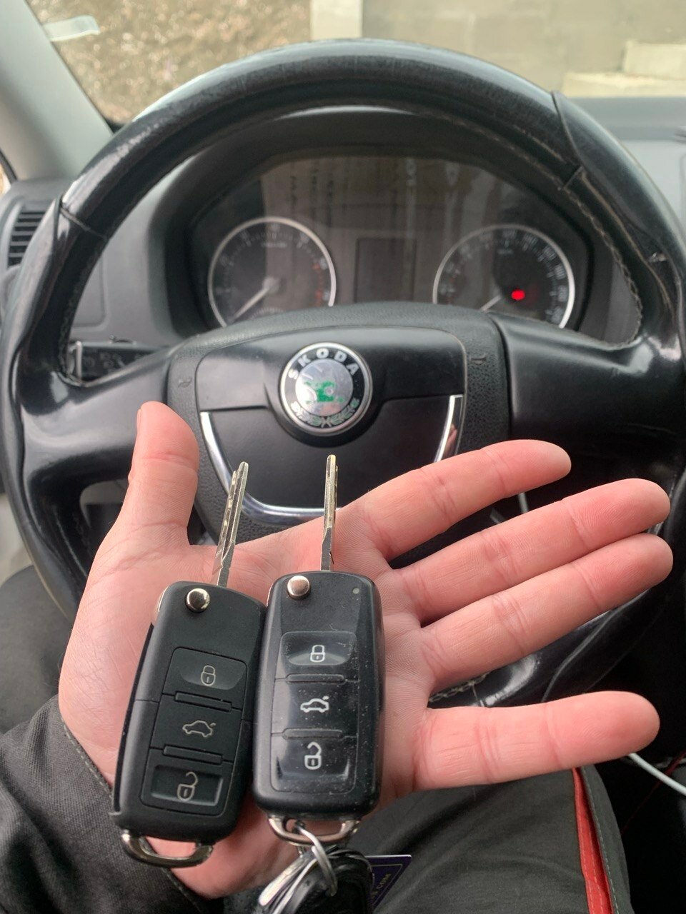 skoda octavia a 5, �������� ����������, ���������� �������������� �� 5, skoda octavia a 4, skoda octavia a 7