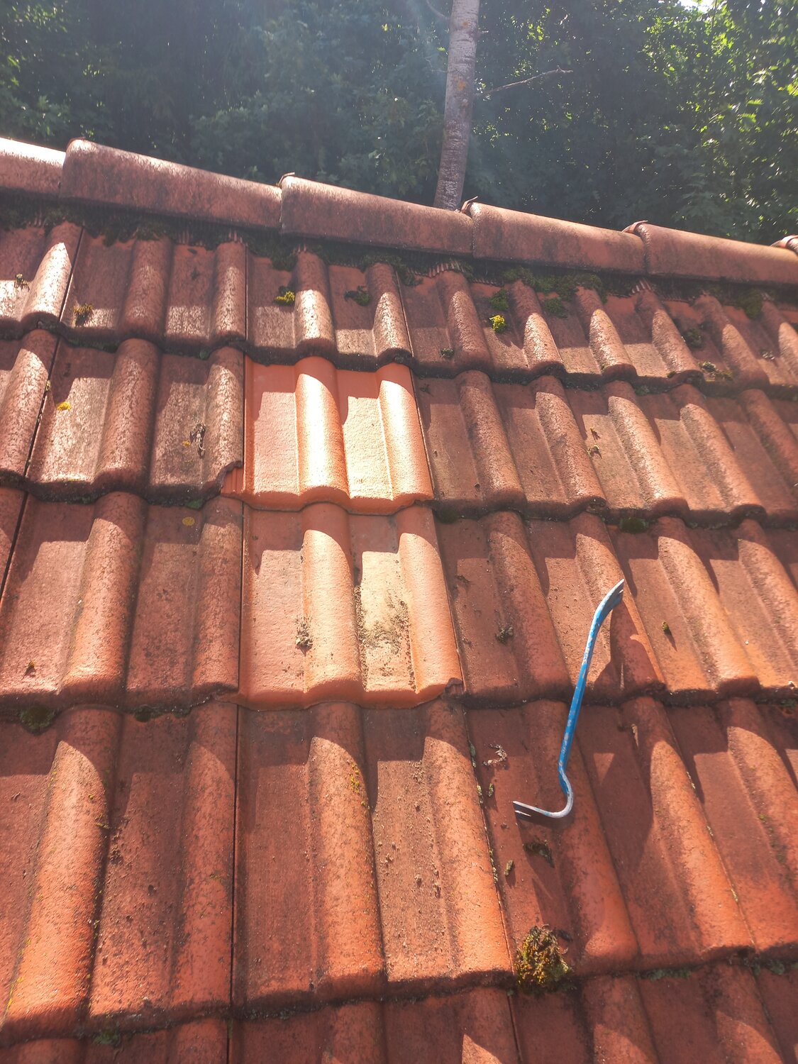 ����������������, ������������������������ ����������������, roof tile, ���������������������� ����������������, ���������������� ���� ����������