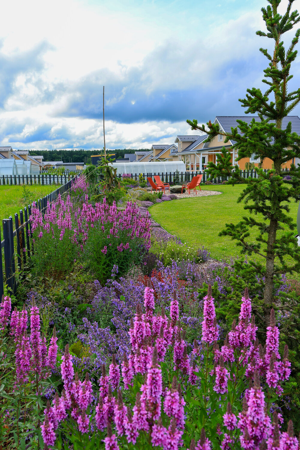 plant garden, ������������, ����������������, ����������������, outdoor garden