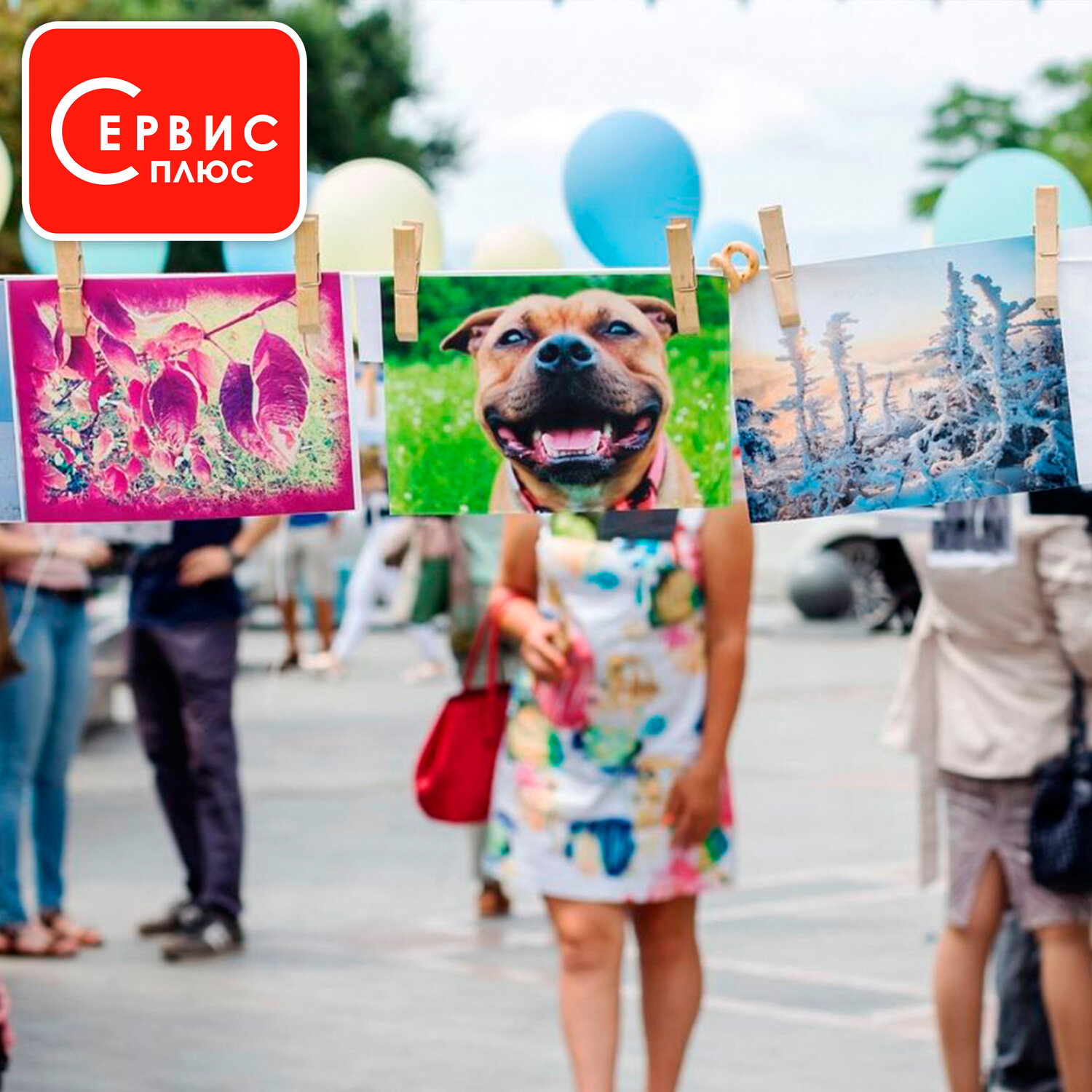 люди, фестиваль, пес, dog, фотографии