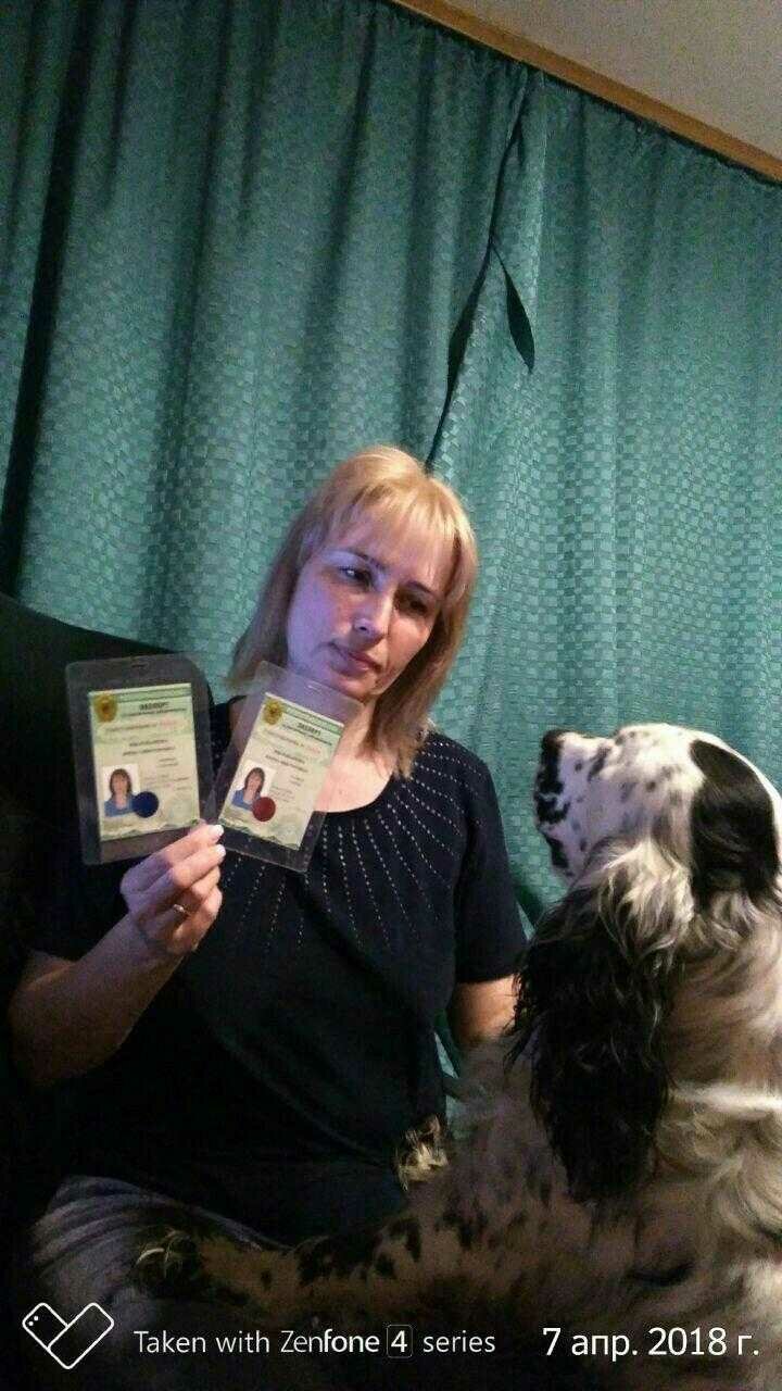 женщина, люди собаки, девушка, спаниель, собака