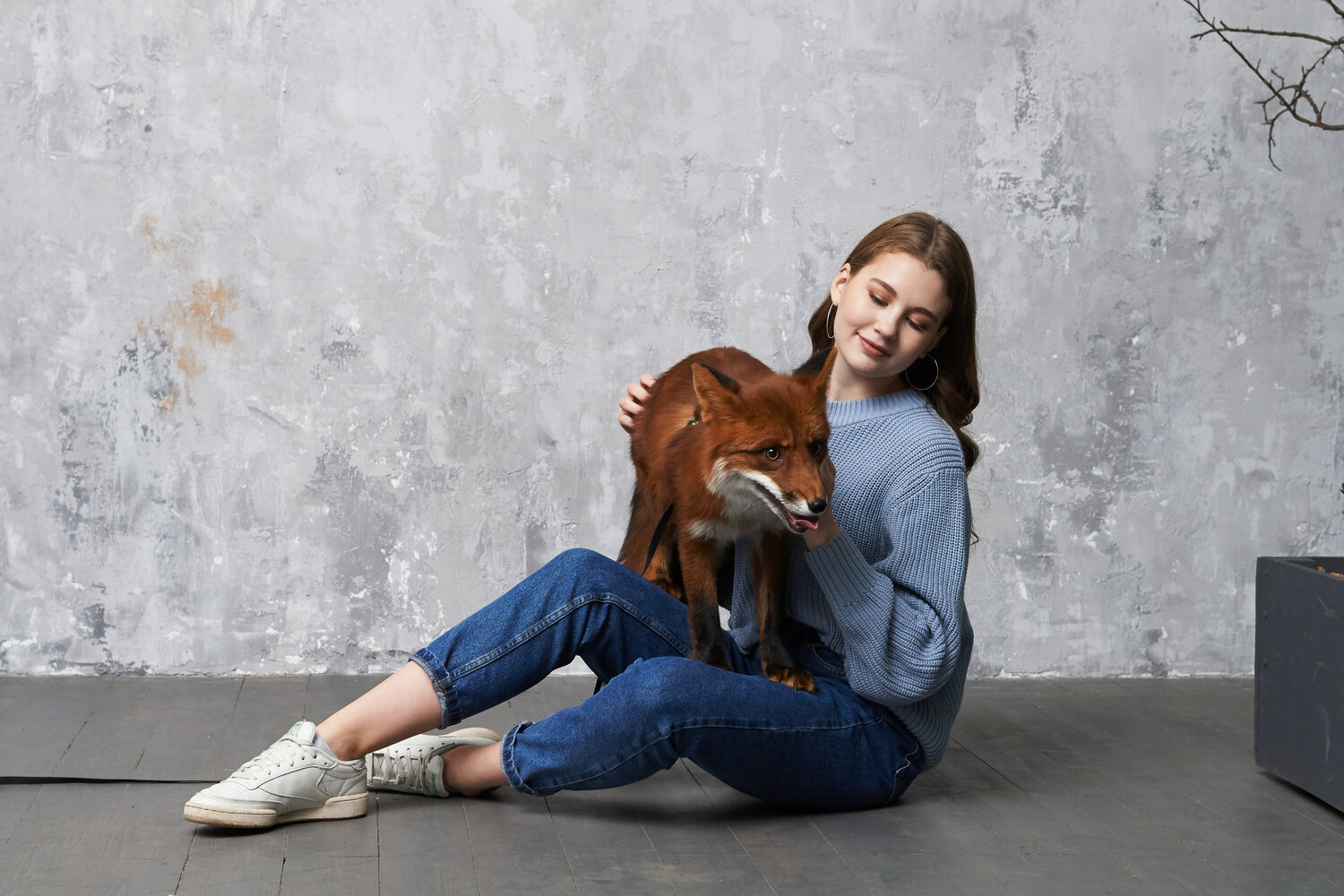 лиса, девушка, человек, девушка обнимает лиса, фотосессия