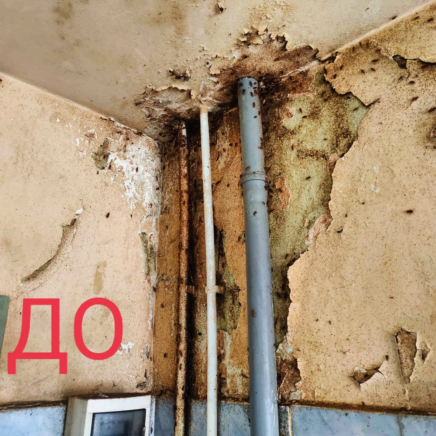 труб, протечка труб от застройщика, трубы в стене хрущевки, трубы отопления перекрытие дырки