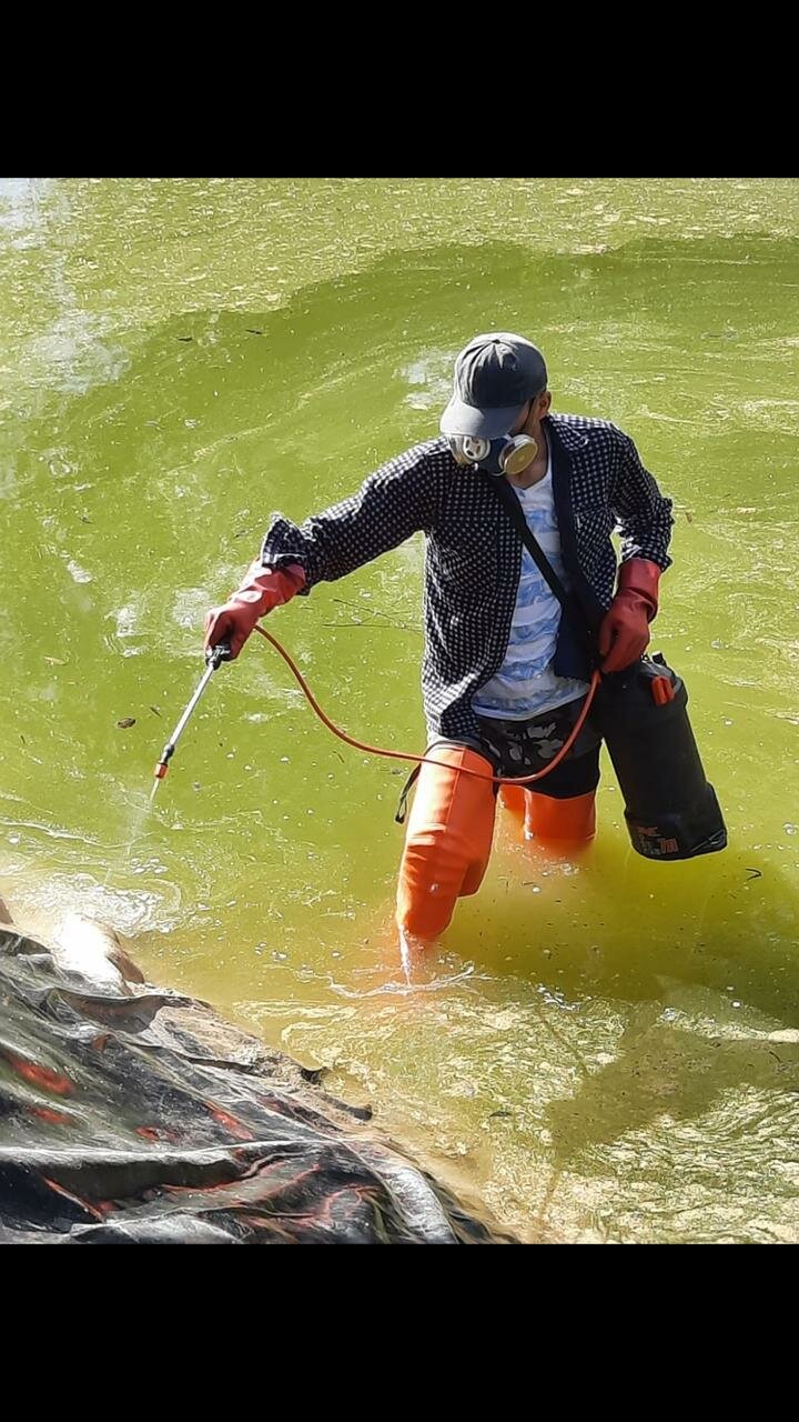 рыбная ловля, водолаз утопленника, рыбалка, утонул в реке, спортивная рыбалка