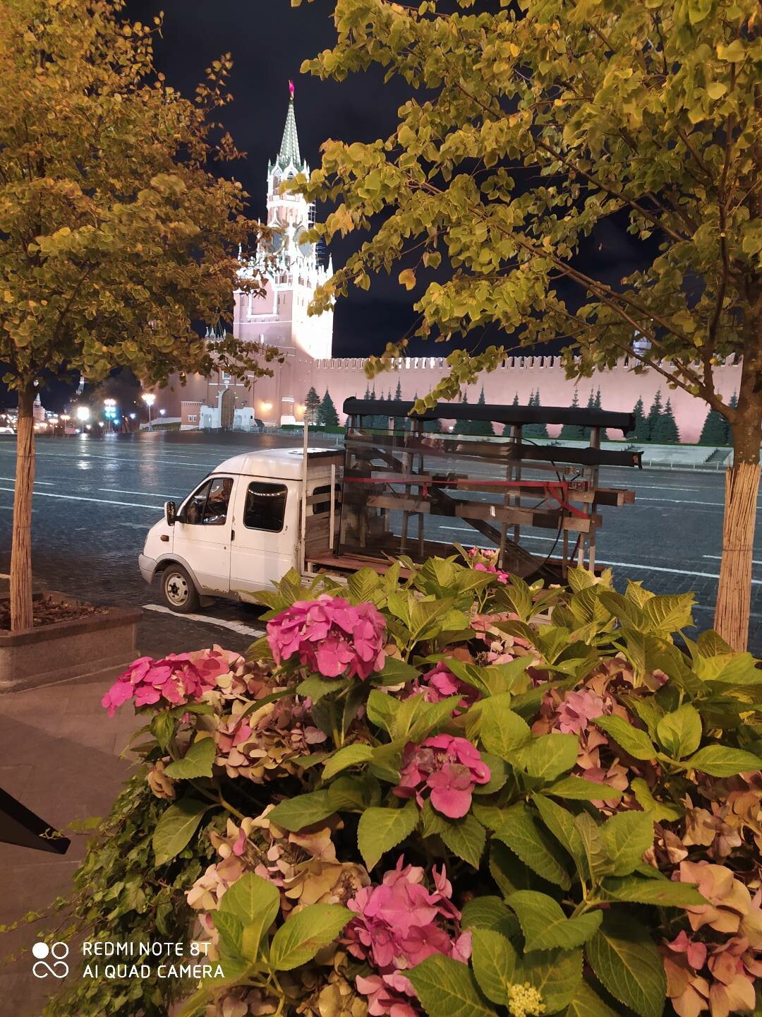 гортензия весной, гортензия, цветы гортензия, весенняя москва, лопанская набережная харьков
