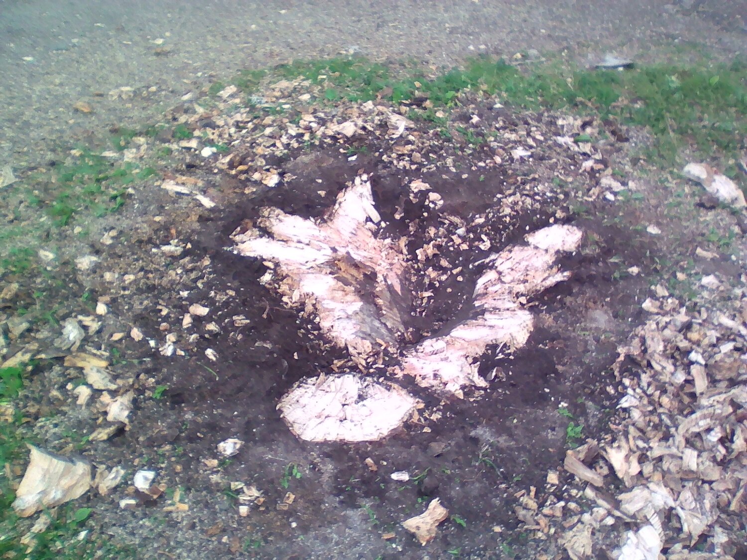 корчевание пней, корчевание, яма, расчистка участка, расчистка
