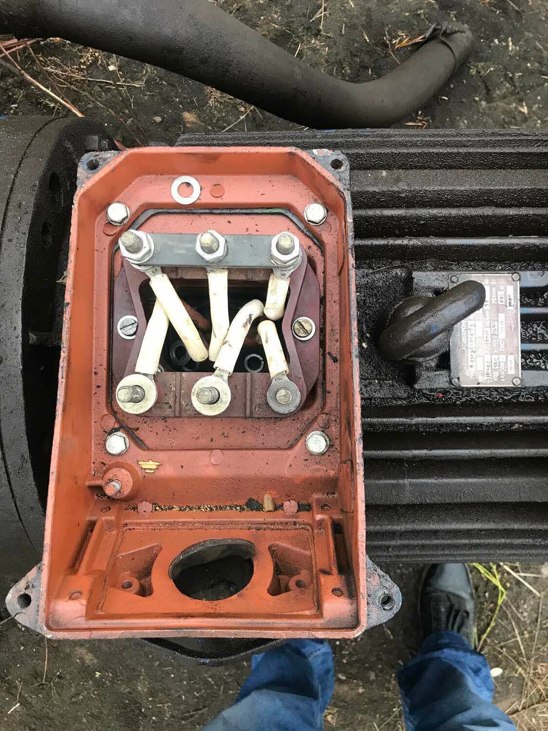 клеммная коробка электродвигатель 380, п41 электродвигатель клеммная коробка, клеммная коробка двигателя аир, клеммная коробка электродвигателя 4ам 80, клеммная коробка двигателя п41