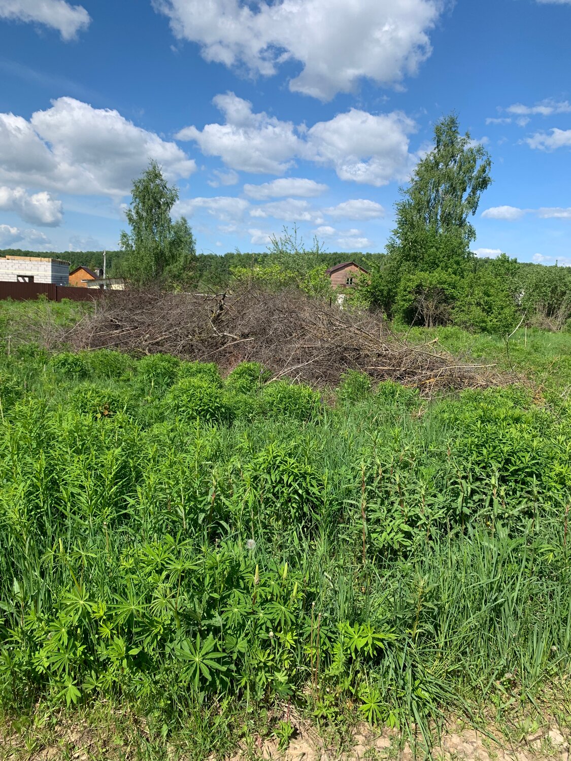 участок, участок в деревне, земельный участок, участок ижс, участки в подмосковье