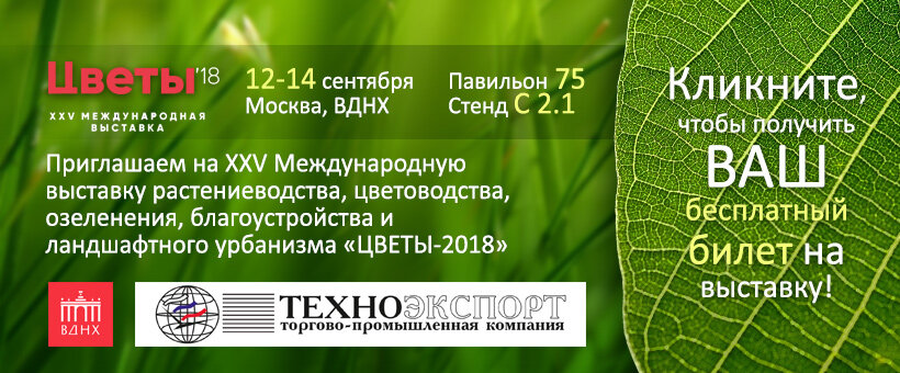 фотосинтез, фазы фотосинтеза, фотосинтез дегеніміз не, растения, международный год здоровья растений
