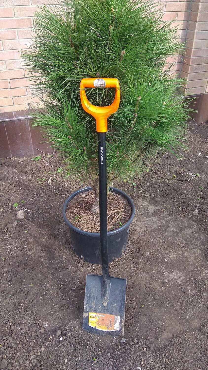 лопата fiskars, лопата fiskars solid, fiskars solid 1026667, лопата fiskars садовая, fiskars solid plus